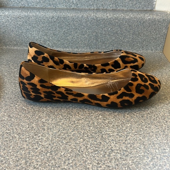 Steve Madden Leopard Print Shoes - Picture 4 of 6